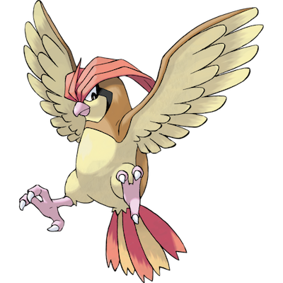 Pidgeotto